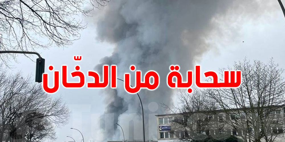 عاجل: سحابة من الدّخان في مطار توزر...ماتخافوش؟